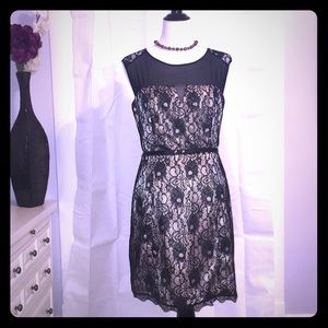 Laundry by Shelli Segal Lace Dress